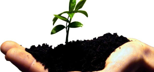 Oser entreprendre pour réussir
