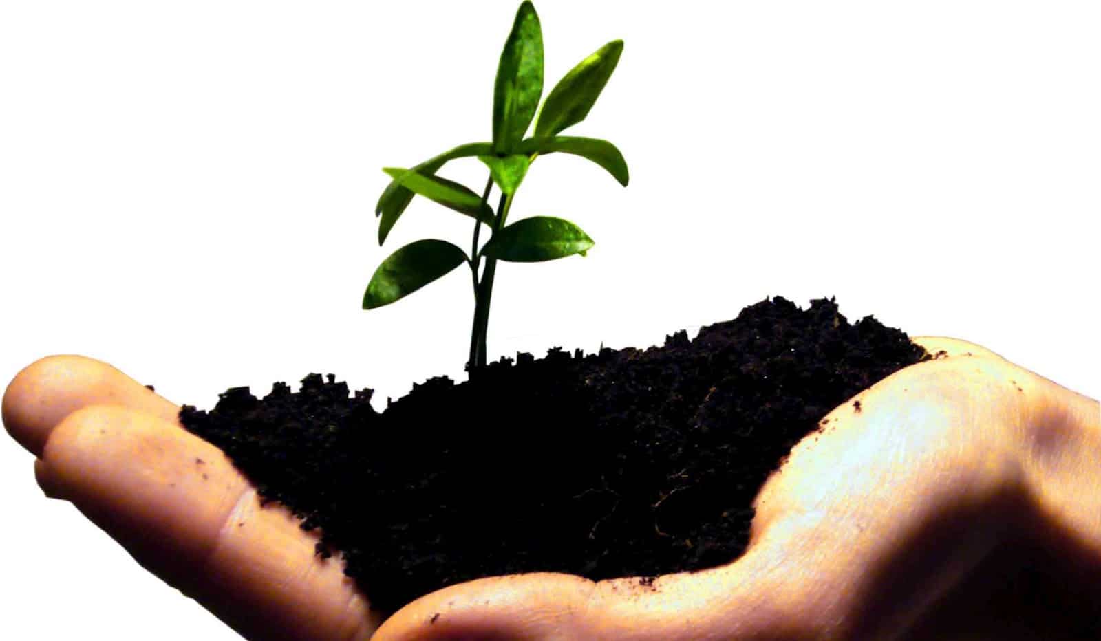 Oser Entreprendre Pour R ussir BackUpYourBrain Oser Entreprendre Pour R ussir BackUpYourBrain