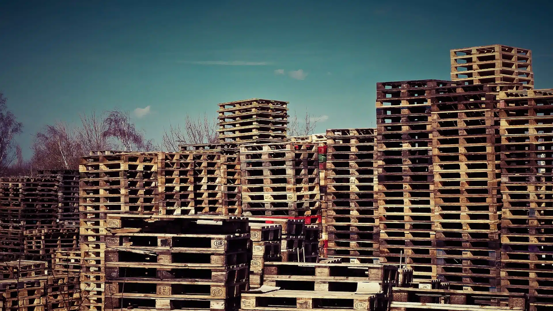 Comment choisir des palettes adaptées à vos besoins ?