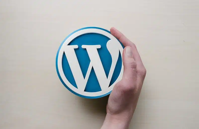 Une maintenance WordPress efficace pour le succès de votre entreprise